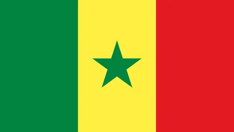 王楚钦零封高承睿，晋级亚洲杯八强